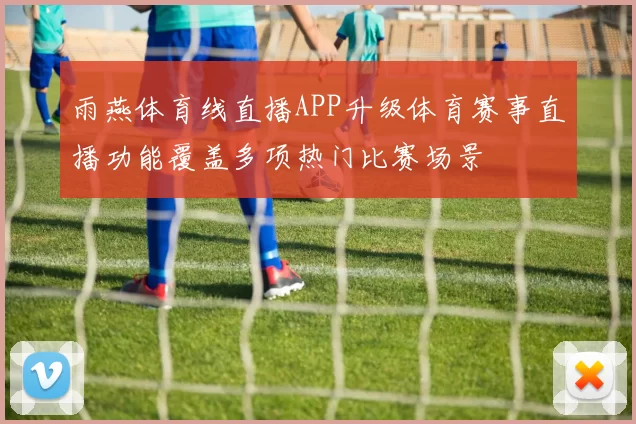雨燕体育线直播APP升级体育赛事直播功能覆盖多项热门比赛场景