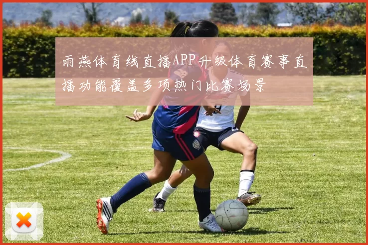 雨燕体育线直播APP升级体育赛事直播功能覆盖多项热门比赛场景
