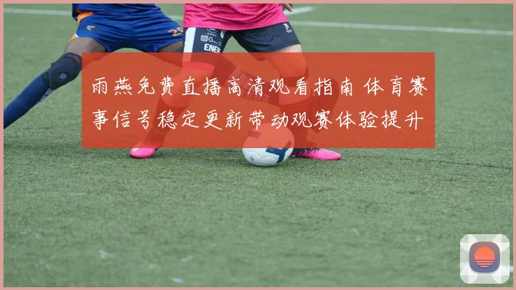 雨燕免费直播高清观看指南 体育赛事信号稳定更新带动观赛体验提升