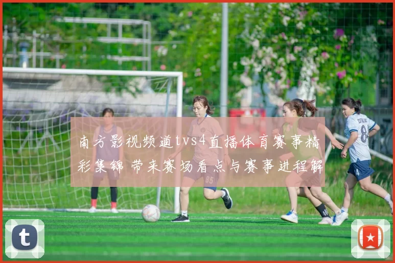 南方影视频道tvs4直播体育赛事精彩集锦 带来赛场看点与赛事进程解析