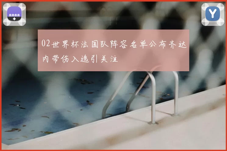 02世界杯法国队阵容名单公布齐达内带伤入选引关注